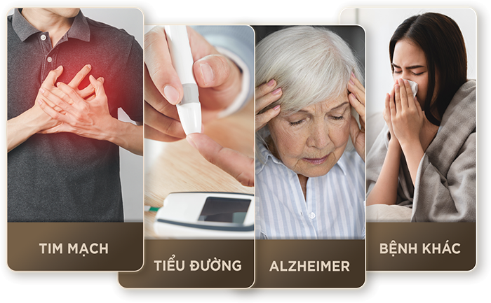 PHÒNG NGỪA VÀ HỖ TRỢ ĐIỀU TRỊ NHIỀU BỆNH LÝ
