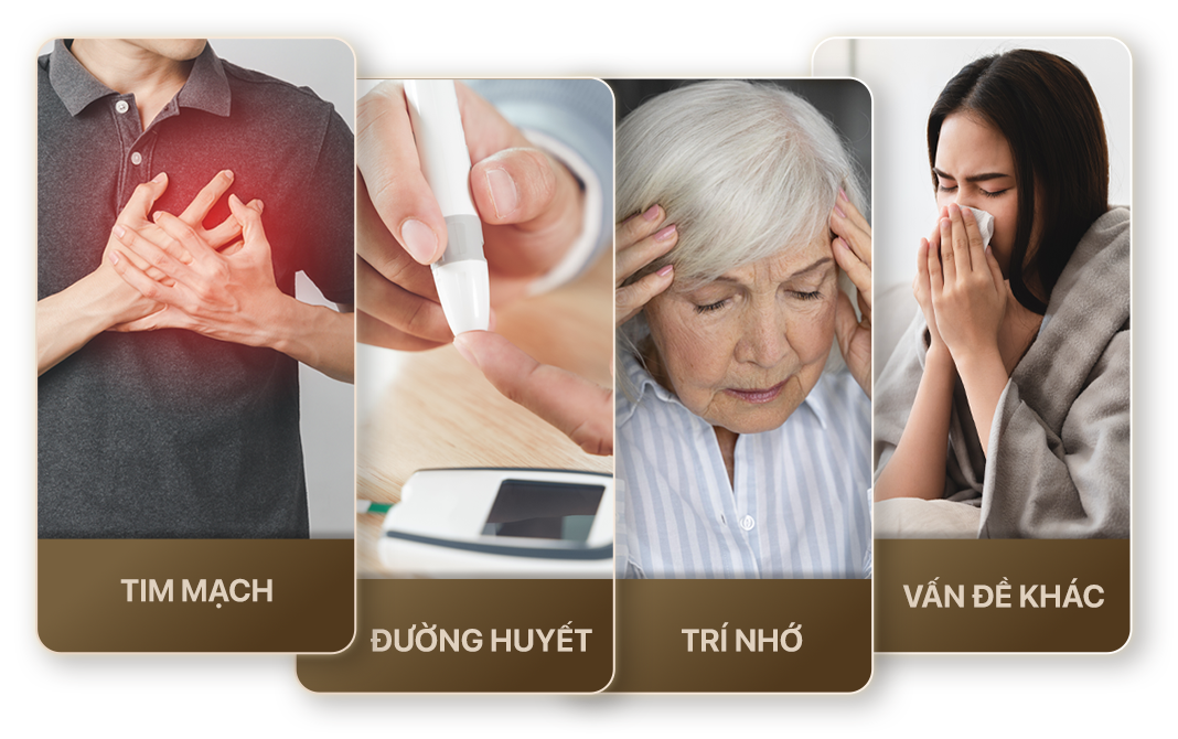 Góp phần hỗ trợ các vấn đề sức khỏe thường gặp khi lão hóa